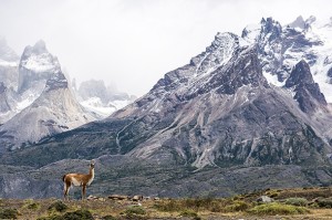 Cordillera del Paine pic